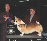 Birgit Freeman Rhoads - behind pup